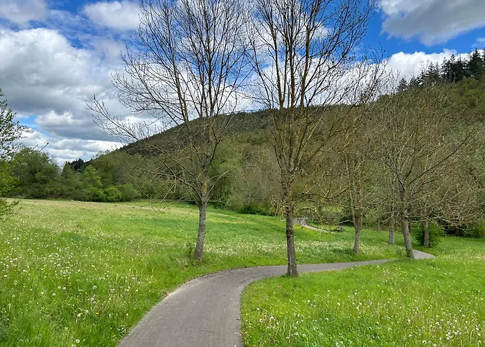 Wellness-ferienhaus Mit Dampfbad & Sauna Am Nuerburgring