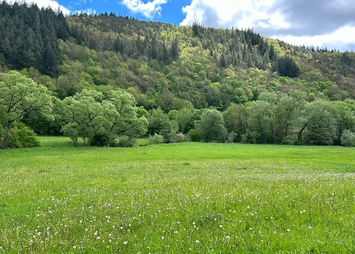 Holiday home Wellness-ferienhaus Mit Dampfbad & Sauna Am Nuerburgring *